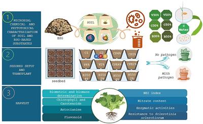 Corrigendum: The potential use of brewers' spent grain-based substrates as horticultural bio-fertilizers